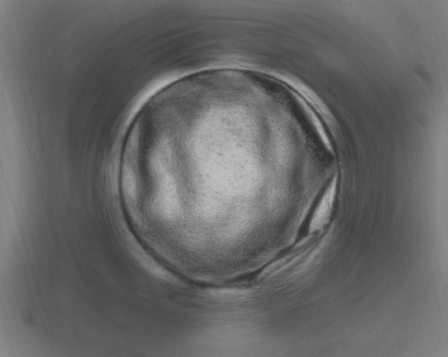 X0000116841246200912241222