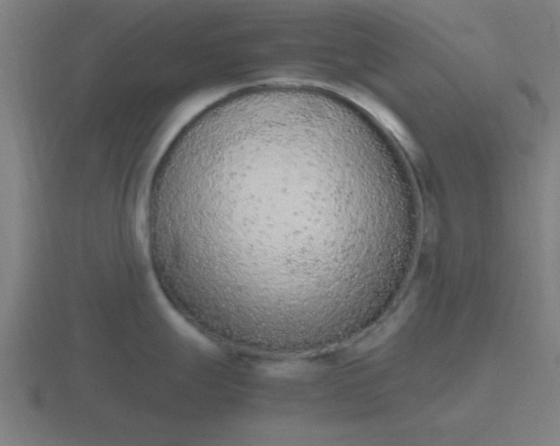 X0000116841247200912241222