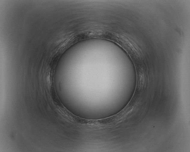 X0000116841250200912241221