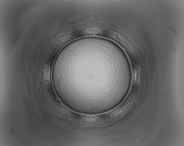 X0000116841251200912241221