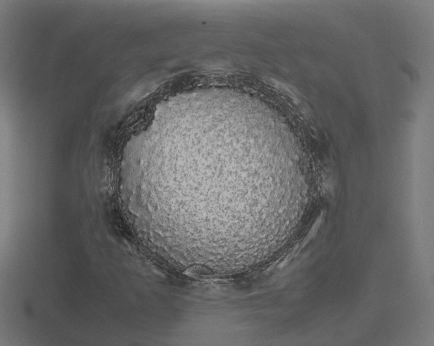X0000116841253200912241221