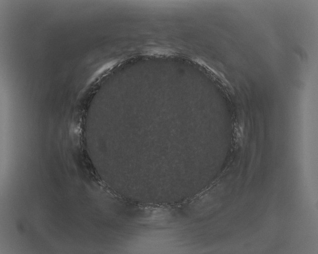 X0000116841254200912241221