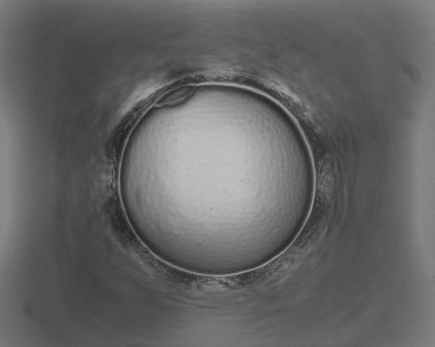 X0000116841255200912241221