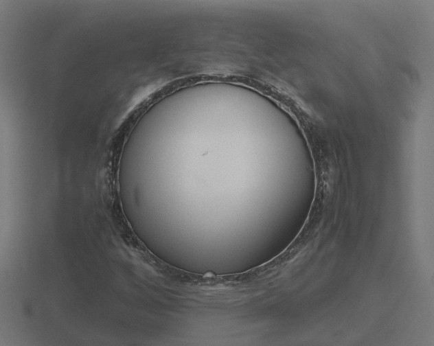 X0000116841256200912241221