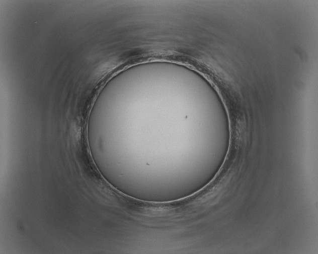 X0000116841257200912241221