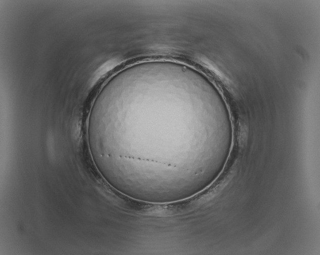 X0000116841259200912241221