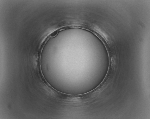 X0000116841260200912241221