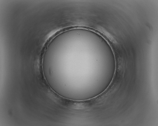 X0000116841264200912241221