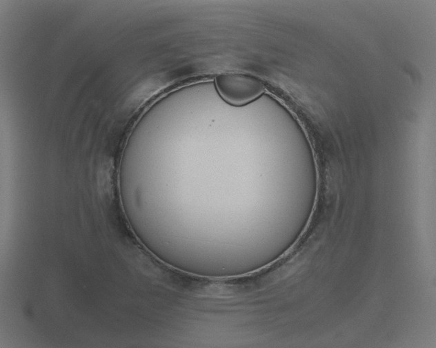X0000116841265200912241221