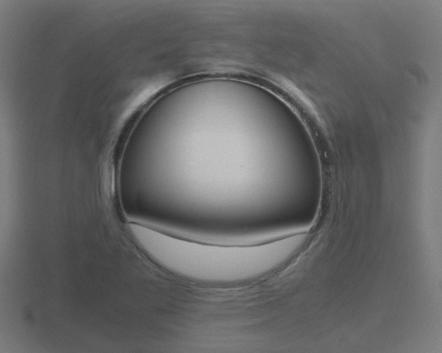 X0000116841269200912241221