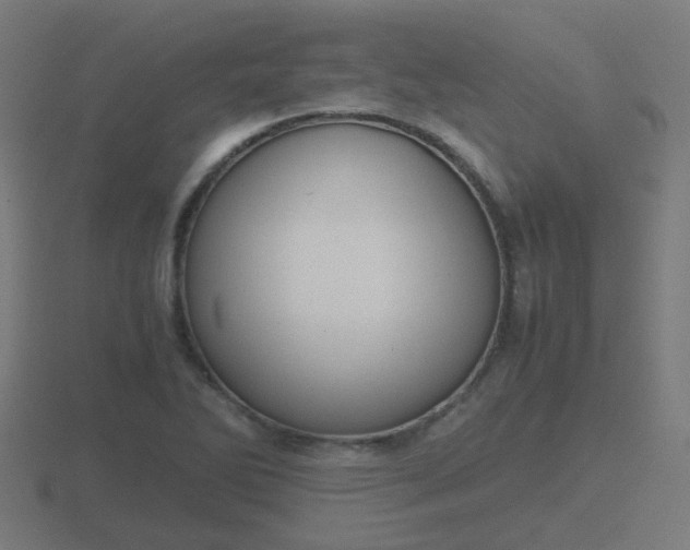 X0000116841270200912241221