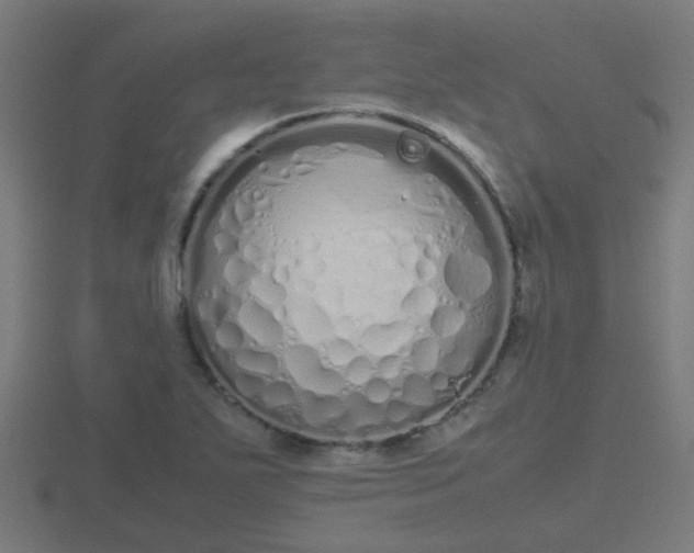 X0000116841271200912241221