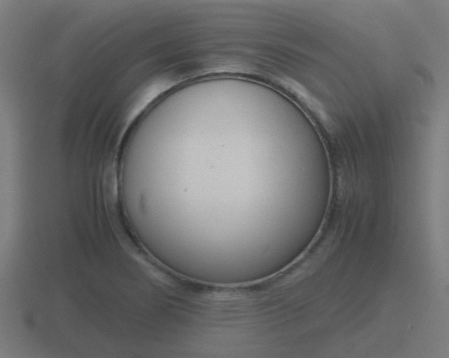 X0000116841274200912241221