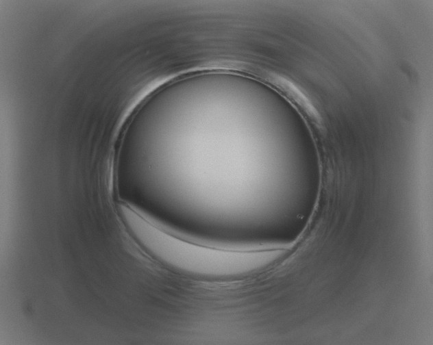 X0000116841276200912241221