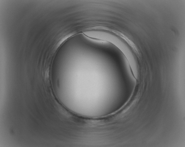 X0000116841281200912241221
