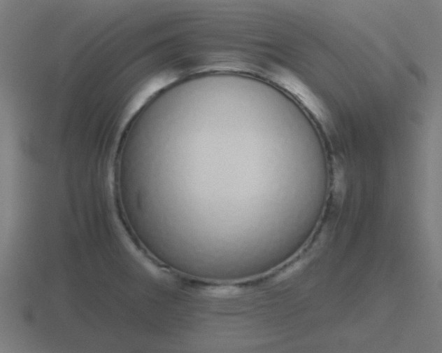X0000116841282200912241221