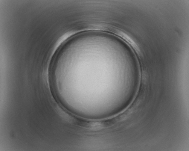 X0000116841283200912241221