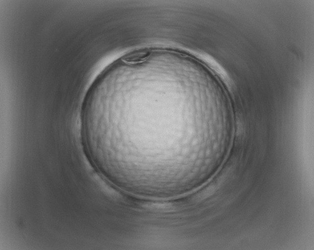 X0000116841287200912241221