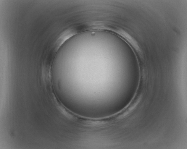 X0000116841289200912241221
