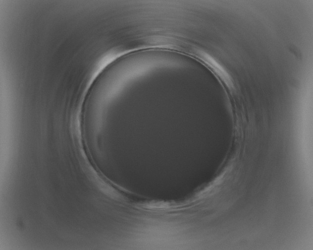 X0000116841291200912241221