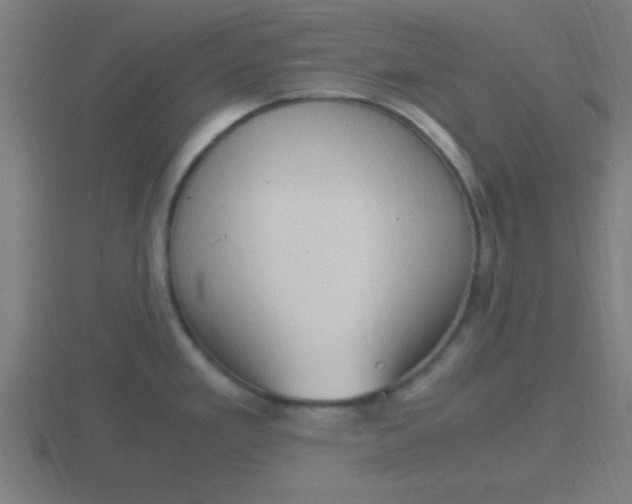 X0000116841293200912241221