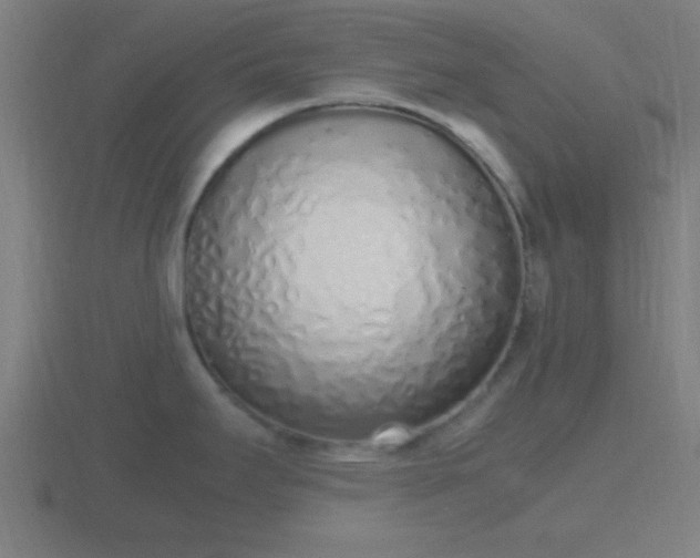 X0000116841295200912241221