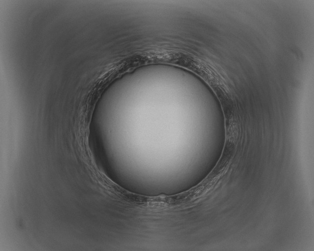 X0000116841297200912241220