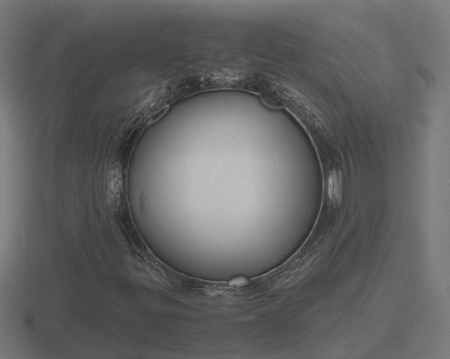 X0000116841299200912241220