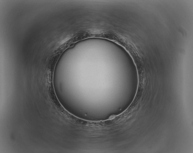 X0000116841301200912241220