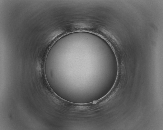 X0000116841305200912241220