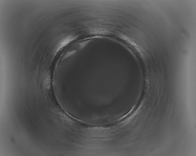 X0000116841306200912241220