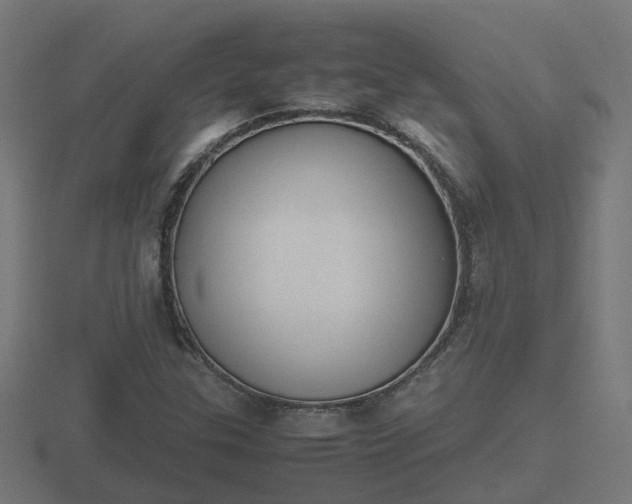 X0000116841307200912241220