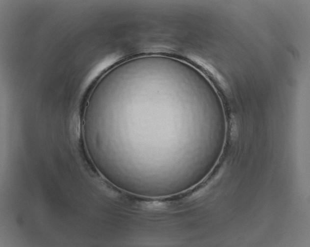 X0000116841317200912241220
