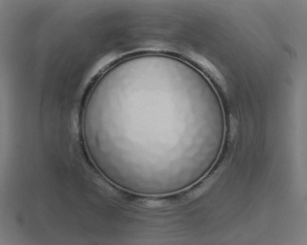 X0000116841318200912241220