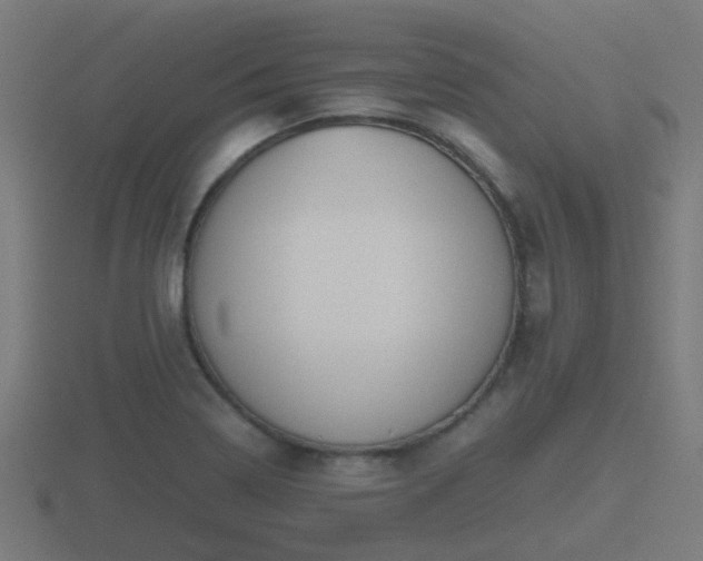 X0000116841322200912241220