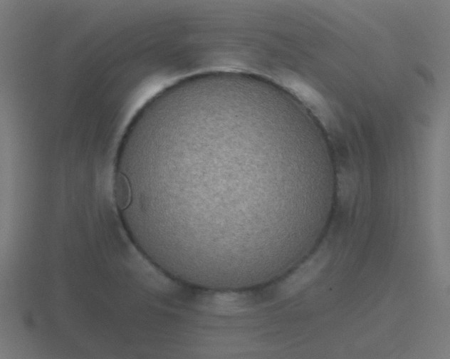 X0000116841326200912241220