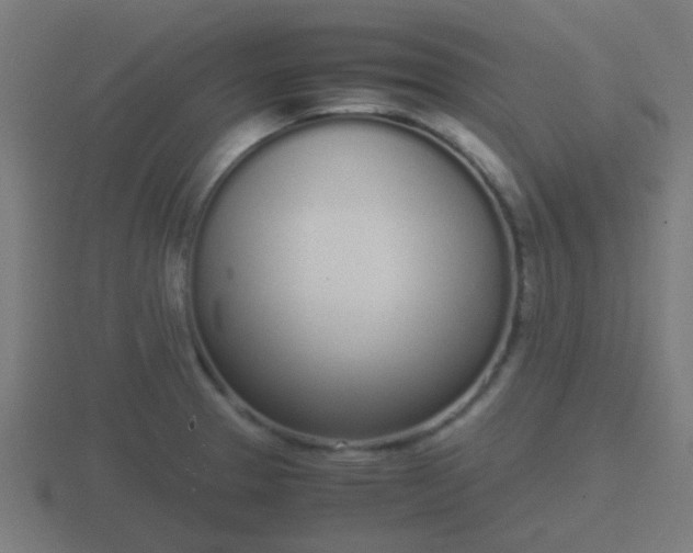 X0000116841329200912241220
