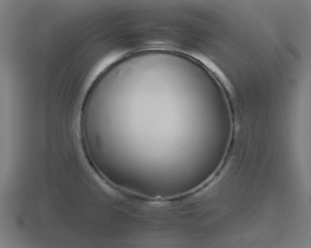 X0000116841333200912241221