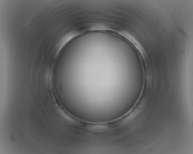 X0000116841337200912241221
