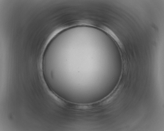 X0000116841339200912241221