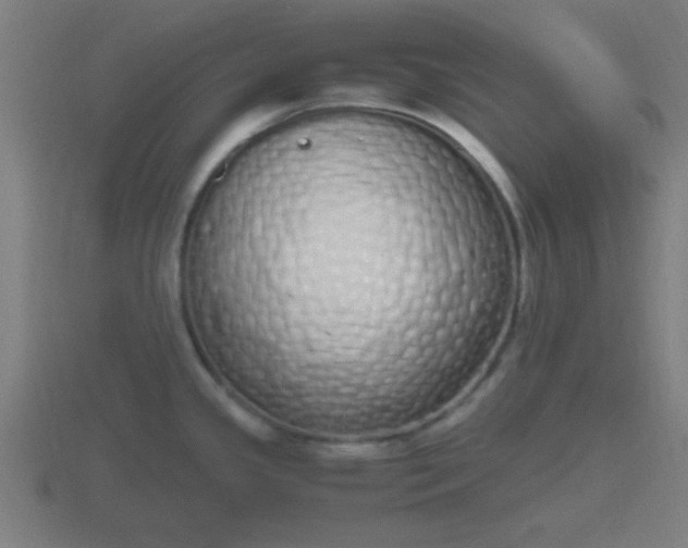 X0000116841341200912241221