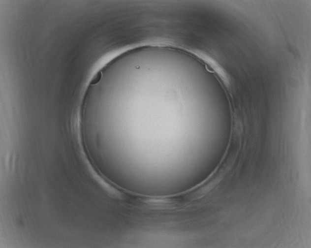 X0000116841343200912241221