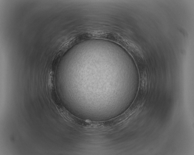 X0000116841346200912241220