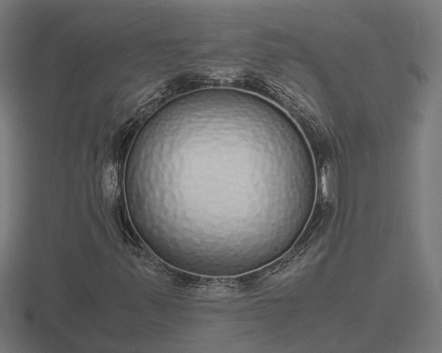 X0000116841347200912241220