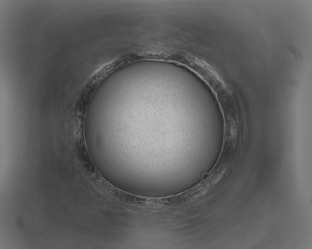 X0000116841350200912241220