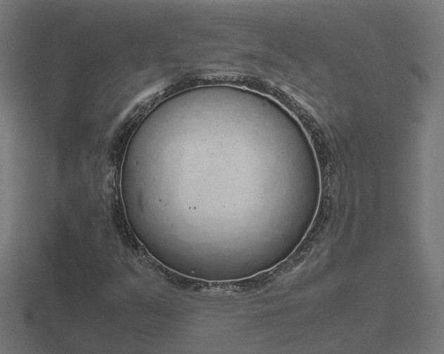 X0000116841351200912241220