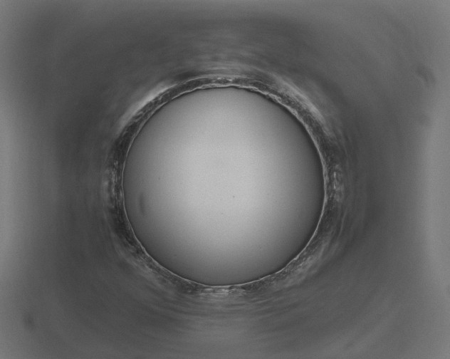 X0000116841352200912241220