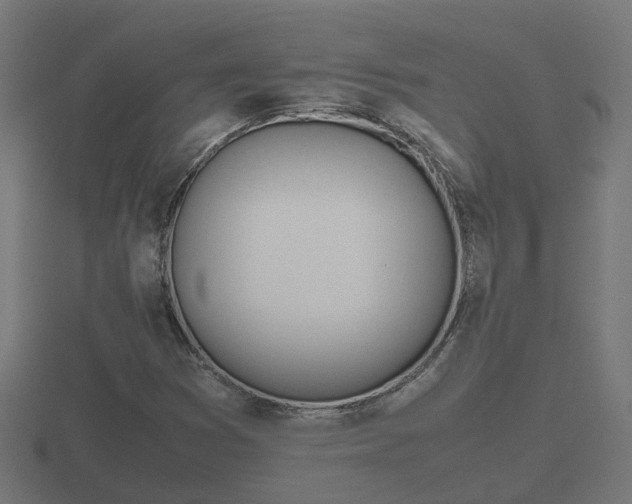 X0000116841353200912241220