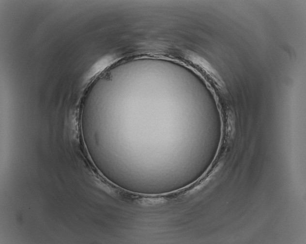 X0000116841354200912241220