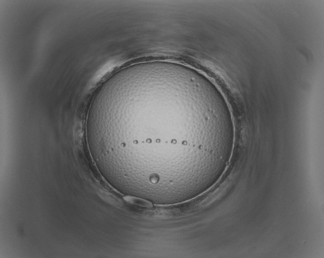 X0000116841355200912241220